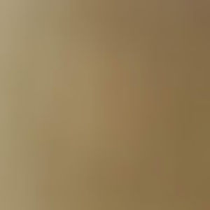 Meet your Posher, Frenchie